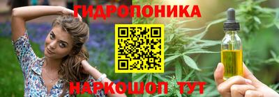 мдпв Обь