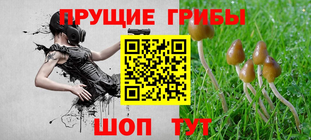 Россошь  Псилоцибиновые грибы мицелий  Вход с VPN 