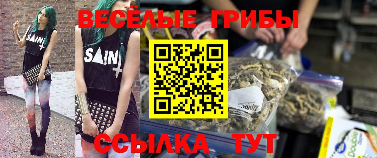 Псилоцибиновые грибы мицелий Россошь